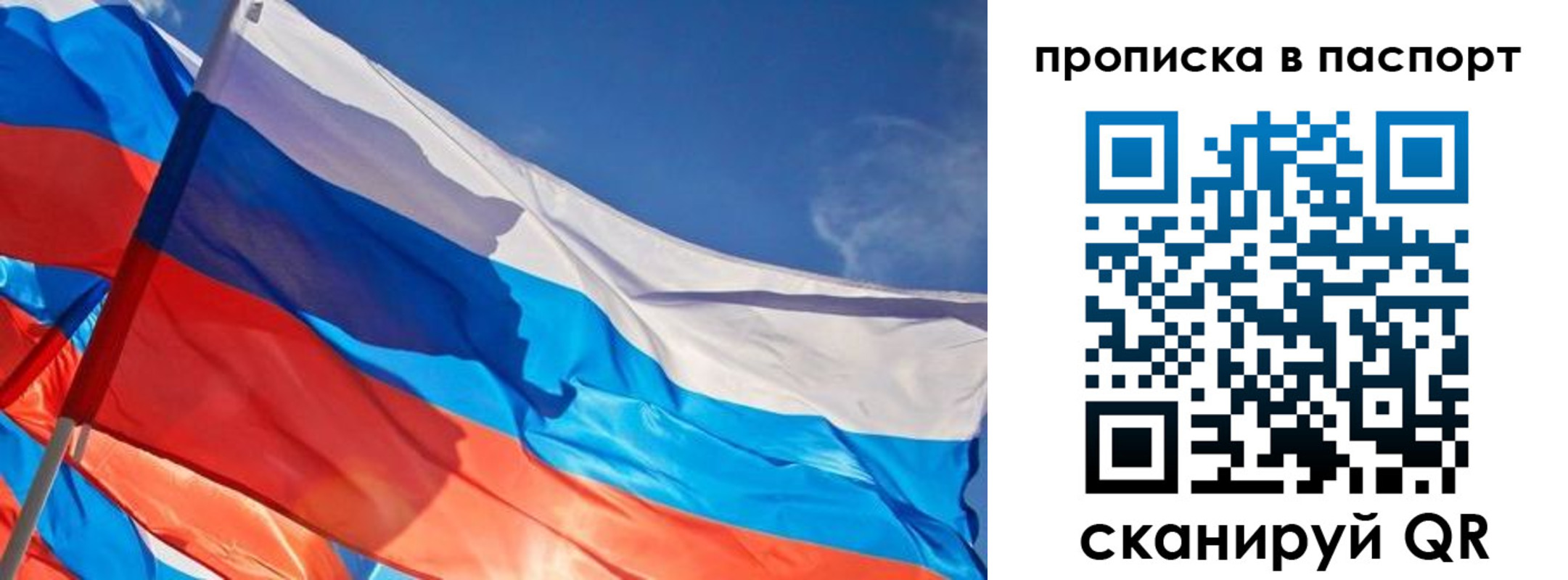 временная регистрация поиск в Болотном